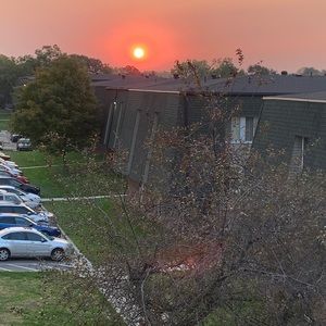 Meet your Posher, Rajesh